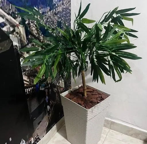 Centro Lapa Inca Sambadromo Apartamento Rio de Janeiro